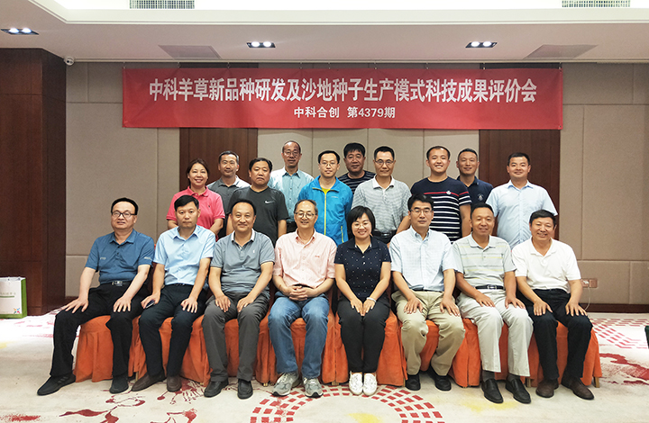 中科1号羊草新品种培育及沙地种子生产模式 anli.jpg